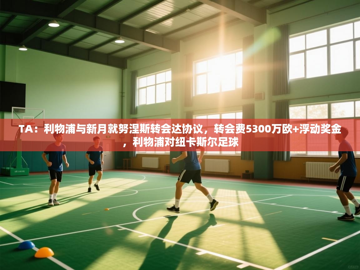 TA：利物浦与新月就努涅斯转会达协议，转会费5300万欧+浮动奖金，利物浦对纽卡斯尔足球  第1张