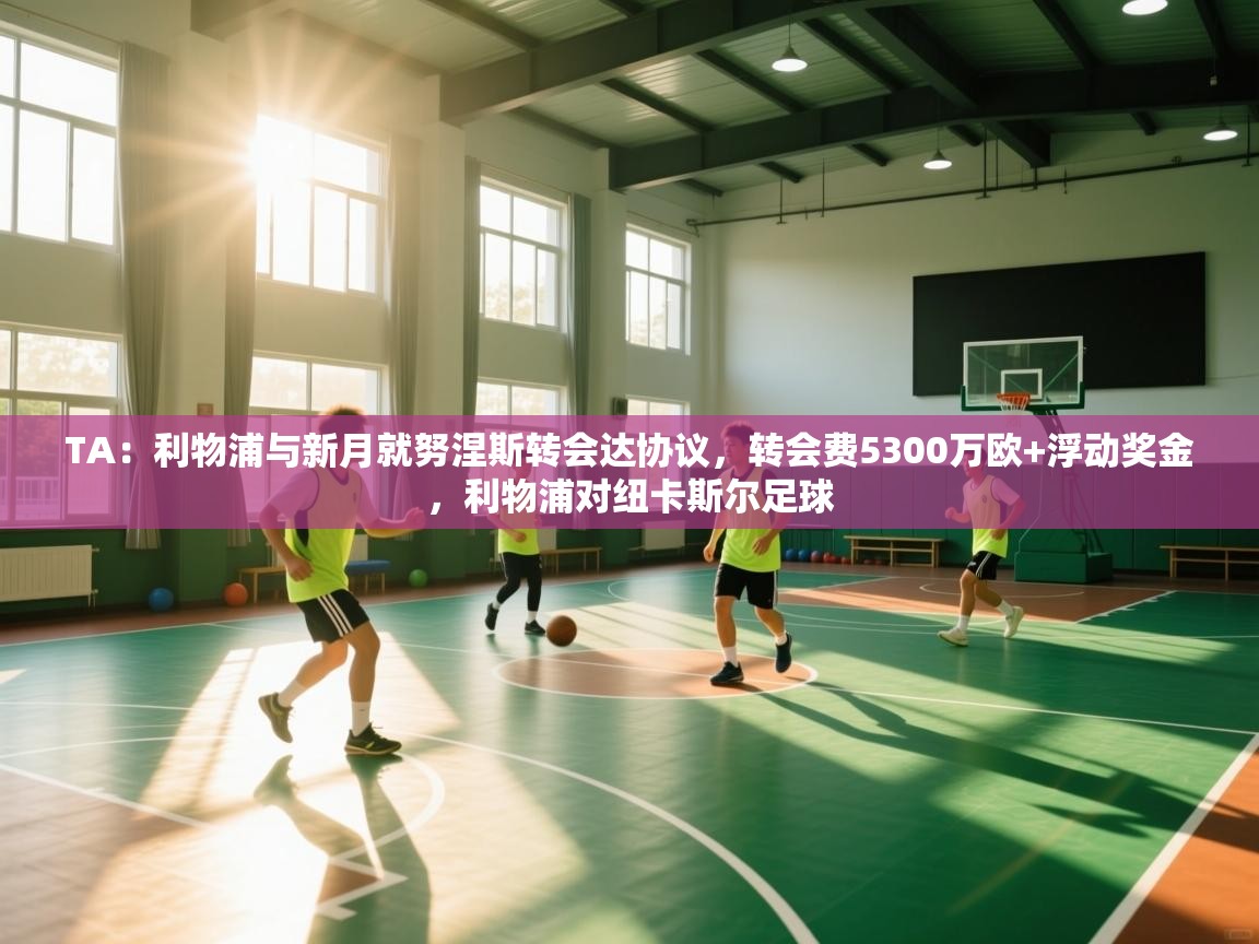 TA：利物浦与新月就努涅斯转会达协议，转会费5300万欧+浮动奖金，利物浦对纽卡斯尔足球  第2张