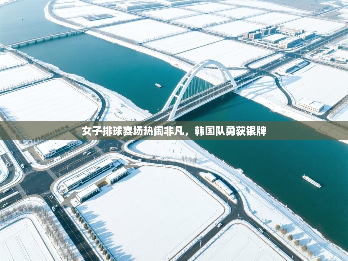 女子排球赛场热闹非凡，韩国队勇获银牌  第1张